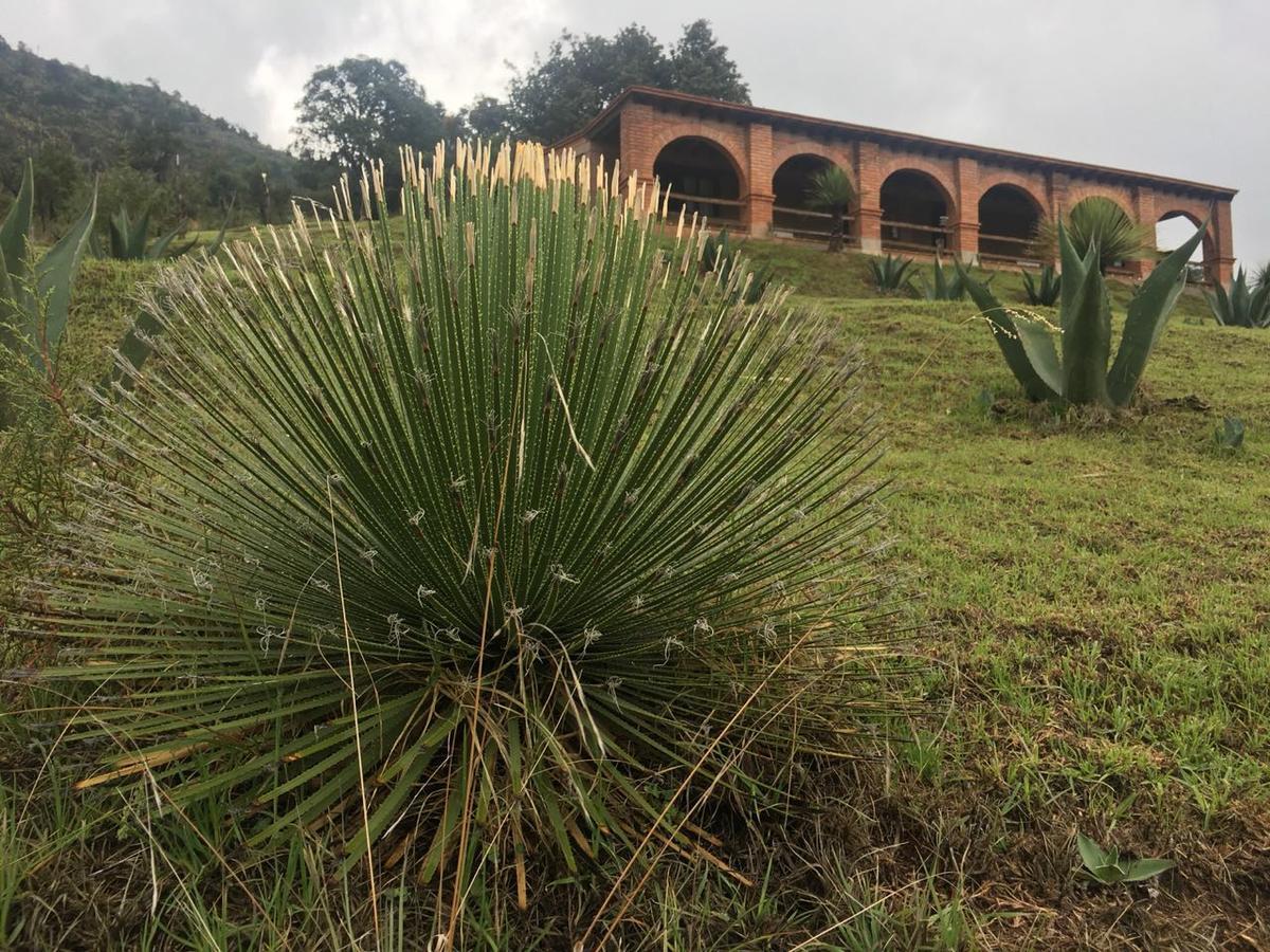 Готель Rancho Escondido Casa Goyri Tlaxco Екстер'єр фото